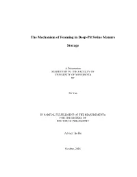 {Replace with the Title of Your Dissertation}