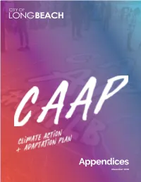 Appendices November 2020