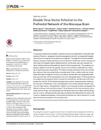 Double Virus Vector Infection to the Prefrontal Network of the Macaque Brain