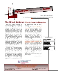 High on the Desert Newsletter