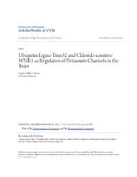 Ubiquitin Ligase Trim32 and Chloride-Sensitive WNK1 As Regulators of Potassium Channels in the Brain Eugene Miler Cilento University of Vermont