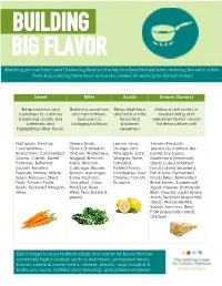 Building Big Flavor