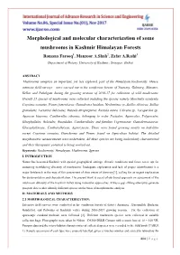 Morphological and Molecular Characterization of Some