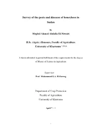 Survey of the Pests and Diseases of Honeybees in Sudan