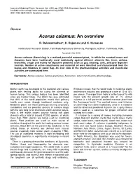 Acorus Calamus : an Overview