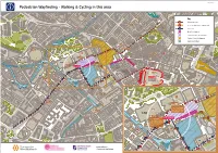 Pedestrian Map 2
