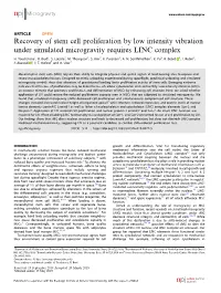 Recovery of Stem Cell Proliferation by Low Intensity Vibration Under Simulated Microgravity Requires LINC Complex