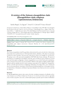 A Revision of the Solanum Elaeagnifolium Clade