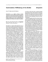 Gastrulation: Partaking of the Bottle Dispatch