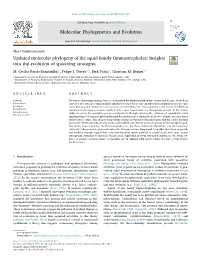 Updated-Molecular-Phylogeny.Pdf