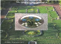 View in the Gem and Mineral Able As a Tablecloth in Four Sizes, Or As a ,A, ...__ Hall of Our National Museum of Natural Set of Four Striking Placemats