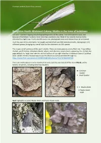 Boughton Heath Allotment Colony: Moths in the Time of Lockdown Last Year I Started Trapping and Photographing Moths at the Colony