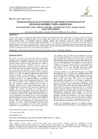 Regular Article Toxicological Evaluation of Aqueous Leaf Extract of Spondias