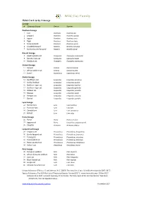 Wild Cat List by Genus