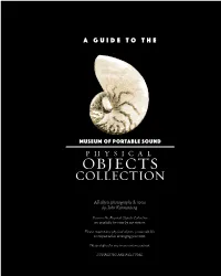 Collection of Physical Objects