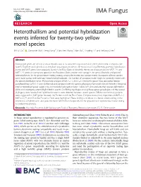 Heterothallism and Potential Hybridization Events Inferred For