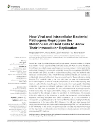 How Viral and Intracellular Bacterial Pathogens Reprogram the Metabolism of Host Cells to Allow Their Intracellular Replication