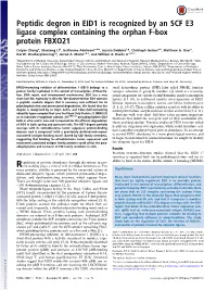 Peptidic Degron in EID1 Is Recognized by an SCF E3 Ligase Complex Containing the Orphan F-Box Protein FBXO21