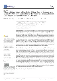 When a Ciliate Meets a Flagellate: a Rare Case of Colpoda Spp. and Colpodella Spp