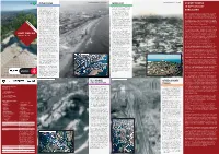 Coastline Aerial View of Somorrostro, C
