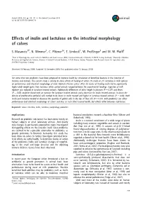 Effects of Inulin and Lactulose on the Intestinal Morphology of Calves