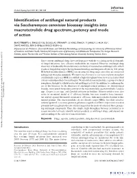 Insights Into Macrotetrolide Drug Spectrum, Potency and Mode of Action