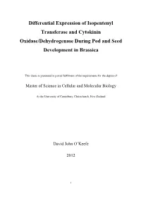 Thesis Fulltext.Pdf (3.697Mb)