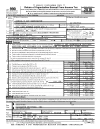 Form 990 (PDF)