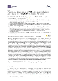Functional Comparison of XPF Missense Mutations Associated to Multiple DNA Repair Disorders