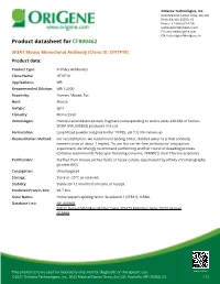SF3A1 Mouse Monoclonal Antibody [Clone ID: OTI1F10] Product Data