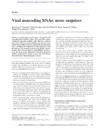 Viral Noncoding Rnas: More Surprises