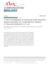 In Vitro Reconstitution of Functional Small Ribosomal Subunit Assembly for Comprehensive Analysis of Ribosomal Elements in E. Coli