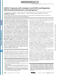 Hnoa1 Interacts with Complex I and DAP3 and Regulates