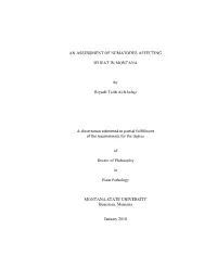 Thesis, Dissertation