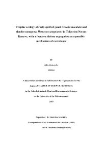 Trophic Ecology of Rusty-Spotted Genet Genetta Maculata and Slender