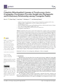 Complete Mitochondrial Genome of Pseudocaranx Dentex