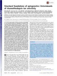 Determinants of Channelrhodopsin Ion Selectivity