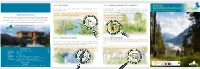 LIFE LECH Dynamic River System Lech