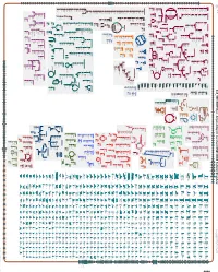 Generate Metabolic Map Poster
