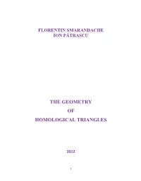 The Geometry of Homological Triangles