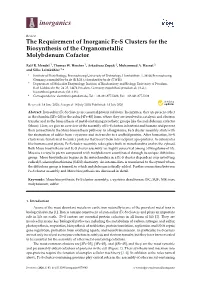 The Requirement of Inorganic Fe-S Clusters for the Biosynthesis of the Organometallic Molybdenum Cofactor