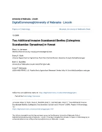 Two Additional Invasive Scarabaeoid Beetles (Coleoptera: Scarabaeidae: Dynastinae) in Hawaii