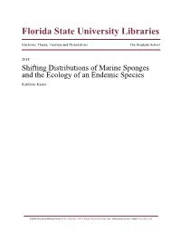 View on the World Porifera Database