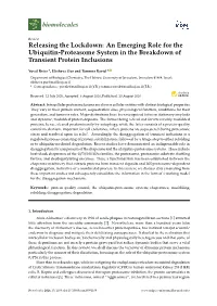 An Emerging Role for the Ubiquitin-Proteasome System in the Breakdown of Transient Protein Inclusions