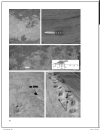 Dinotracks.Indb 358 1/22/16 11:23 AM Dinosaur Tracks in Eolian Strata: New Insights Into Track Formation, Walking Kinetics and Trackmaker Behavior 18