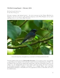 NSS Bird Group Report – February 2020