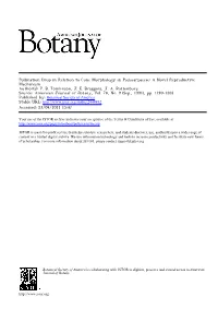 Pollination Drop in Relation to Cone Morphology in Podocarpaceae: a Novel Reproductive Mechanism Author(S): P