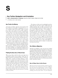 Sea Turtles: Navigation and Orientation C