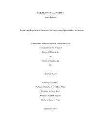 UC Santa Barbara Dissertation Template