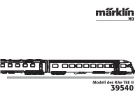 Modell Des Rae TEE II